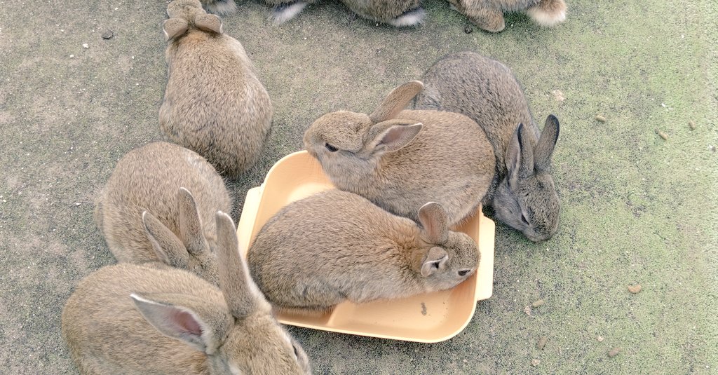 ヌエ子@Skeb募集中 tweet media