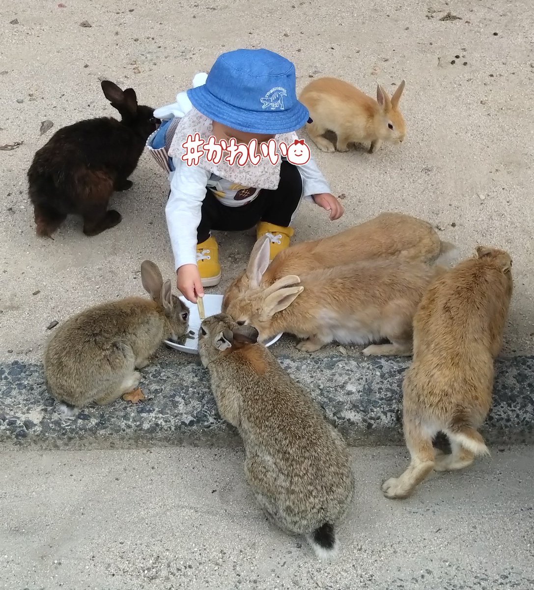 ヌエ子@Skeb募集中 tweet media