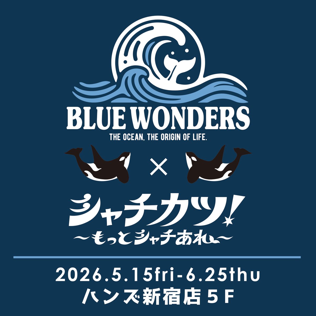 シャチカツ！【公式】 tweet media