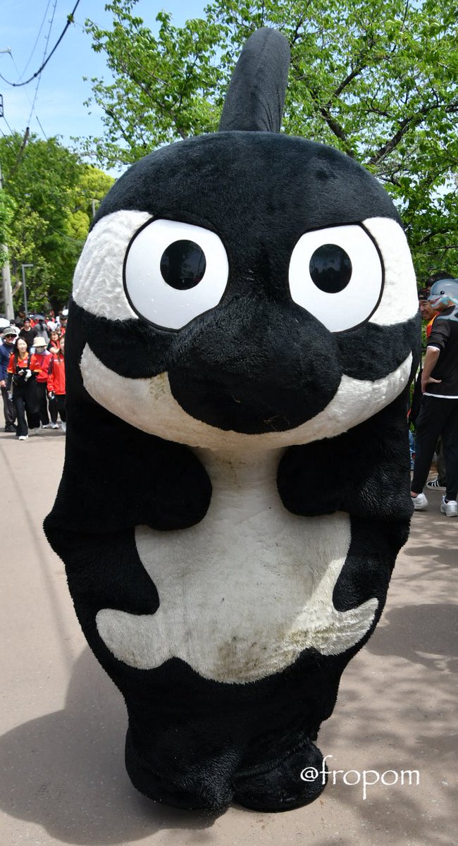 ふろぽん tweet media