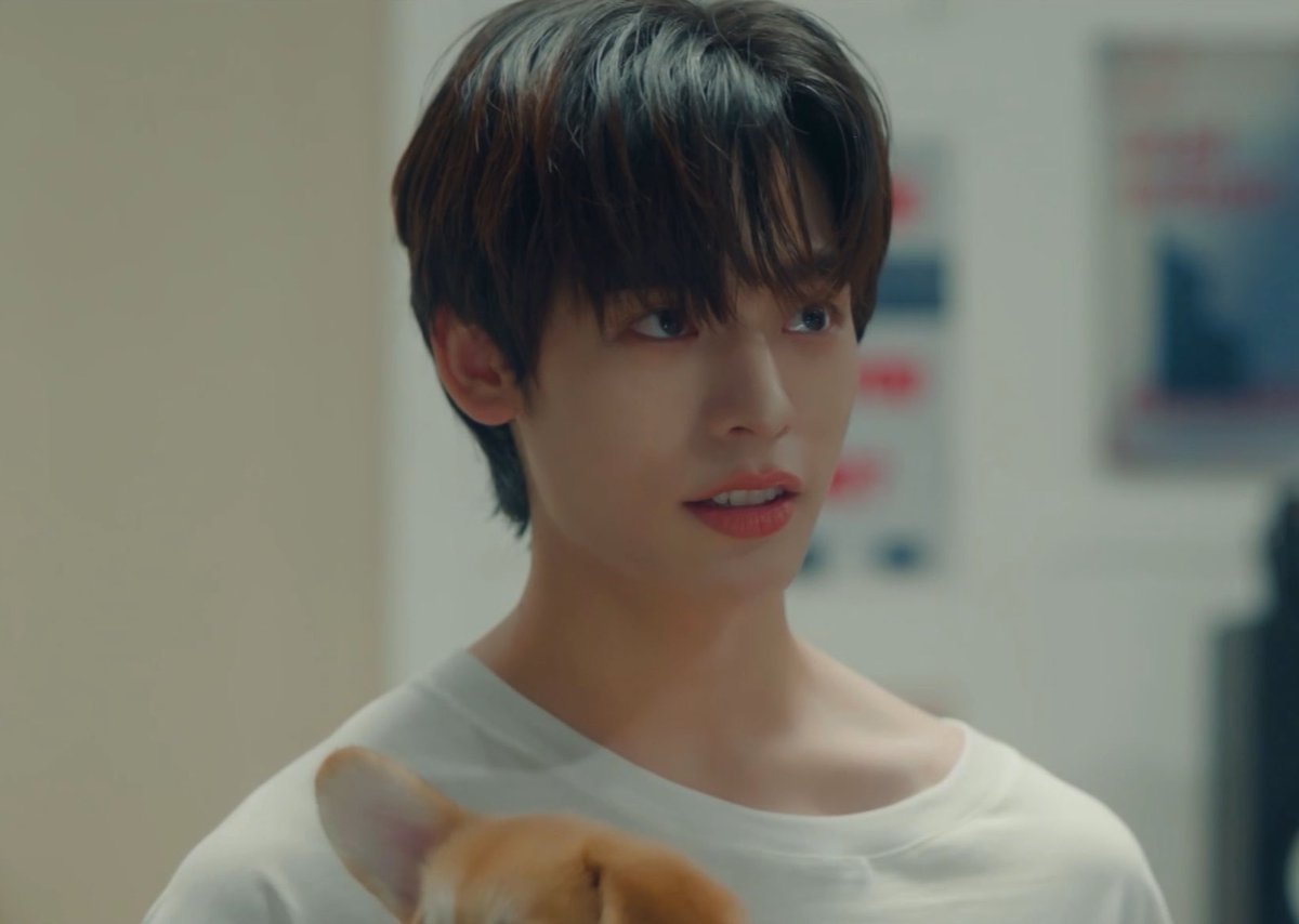 ⋆˚𐙚 パティ𖦹 ft.💐🪽 tweet media