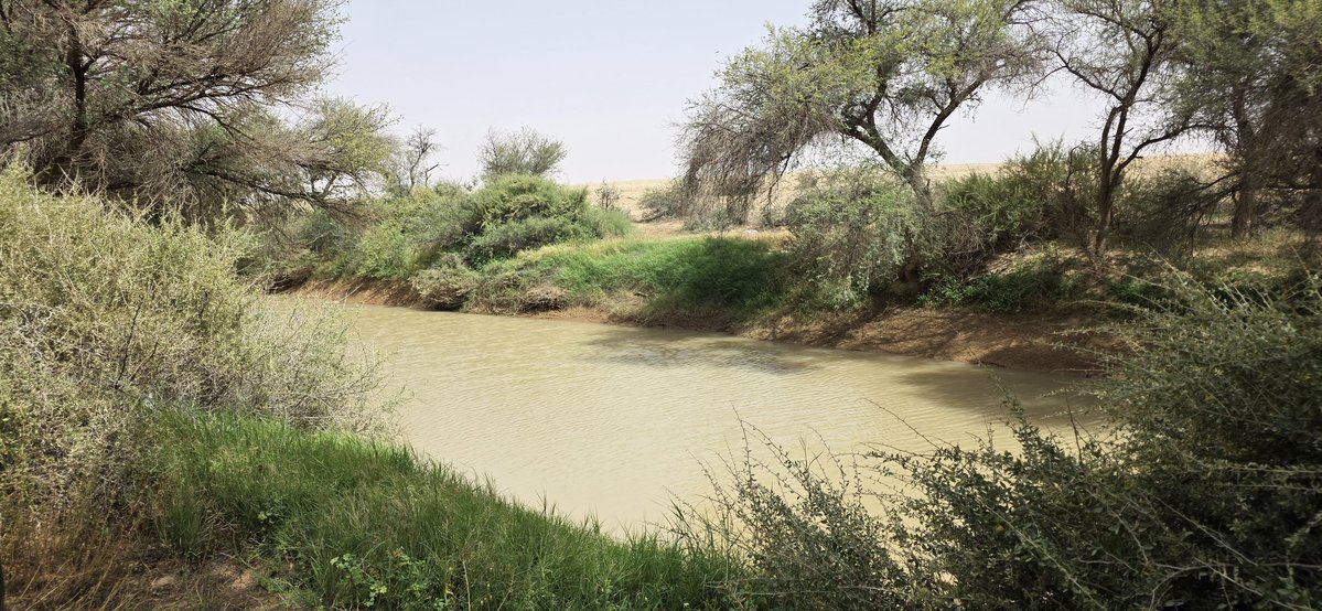 خالد آل سعود‎ tweet media