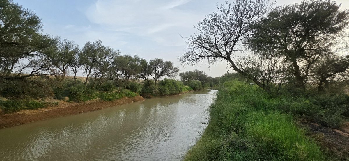 خالد آل سعود‎ tweet media