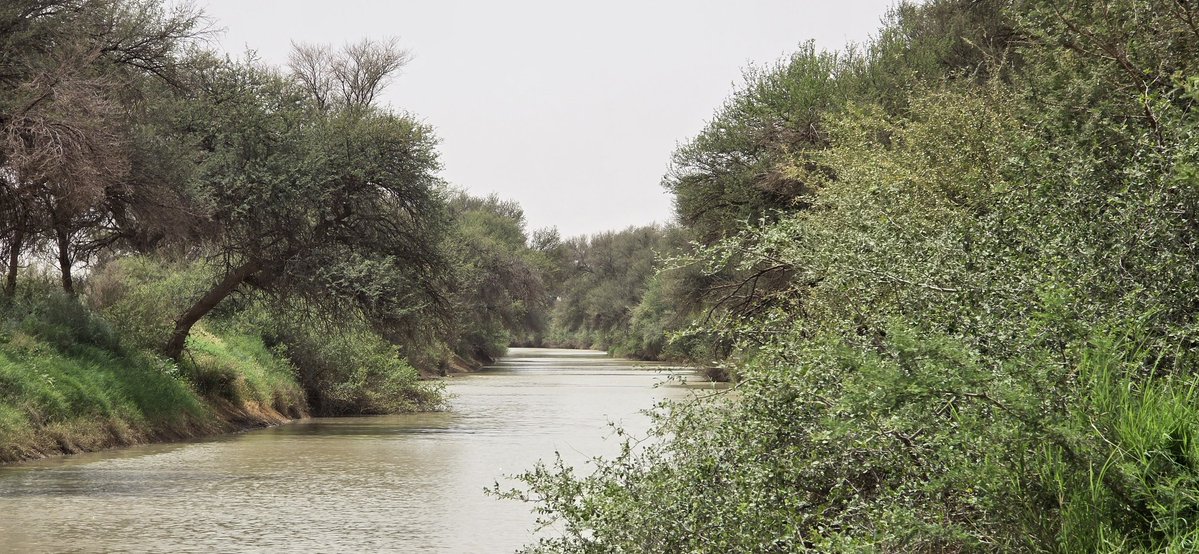 خالد آل سعود‎ tweet media