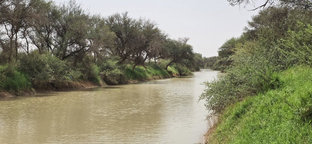 خالد آل سعود‎ tweet media