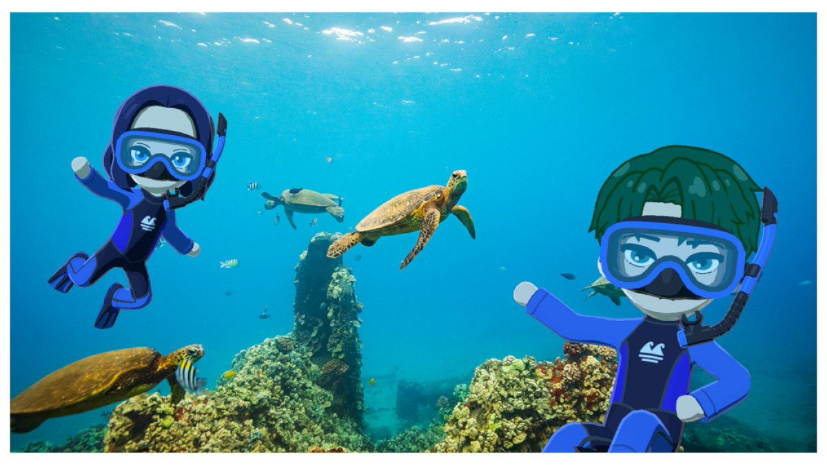 인디곤 tweet media