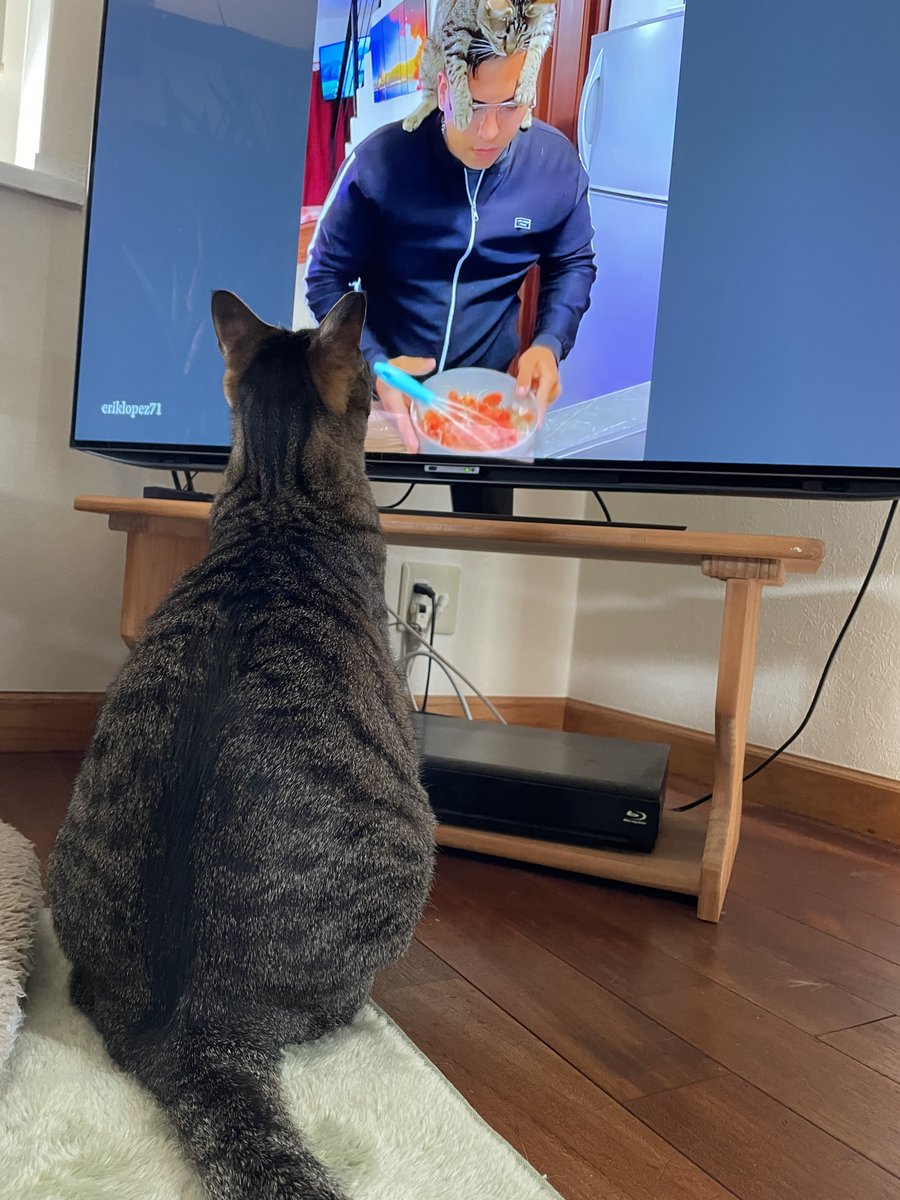 𝑘𝑠𝑚 𓏸𓍯𓂂𓐍𓏸 tweet media