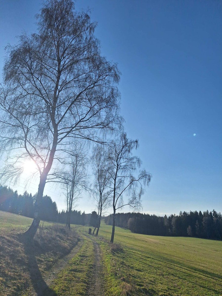 &...@Fima.B... tweet media