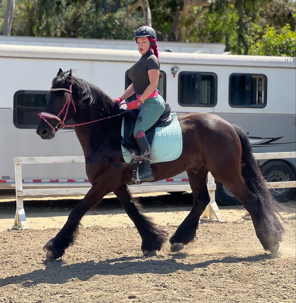 LilyLouTV tweet media