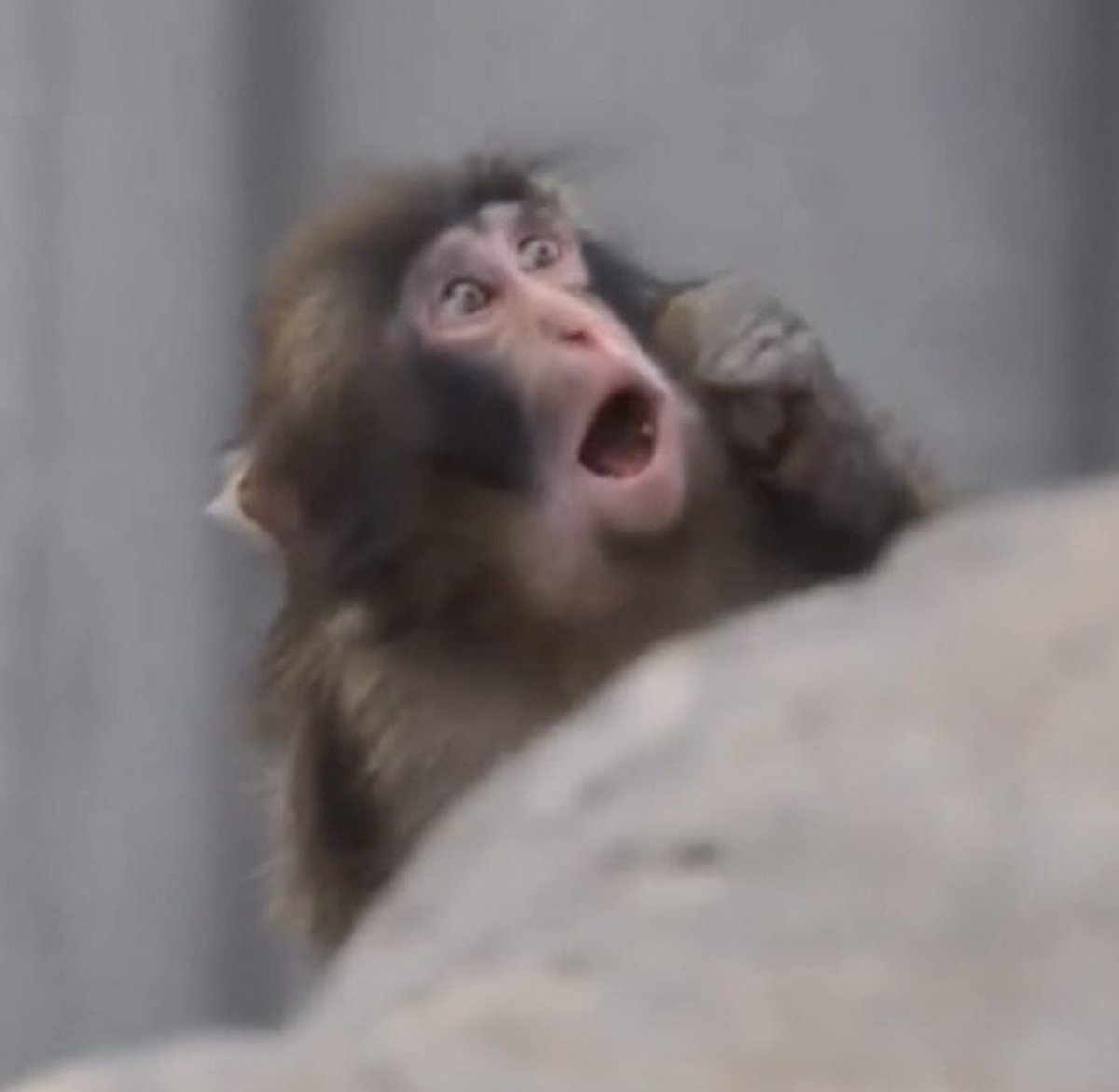 baekhyun_a tweet media