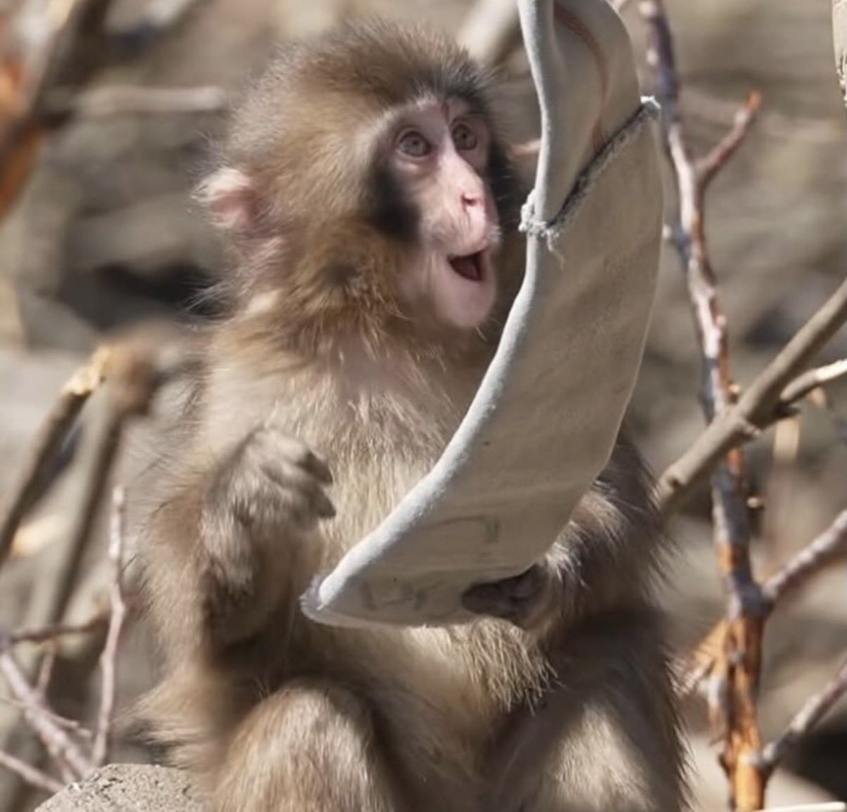 baekhyun_a tweet media