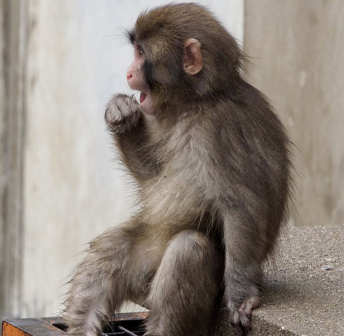 baekhyun_a tweet media