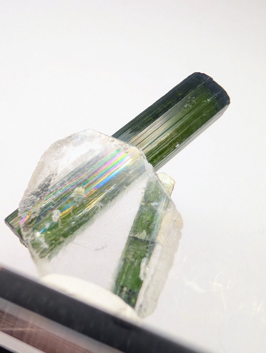 雪⛰️国 tweet media