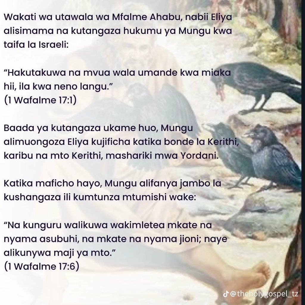 MarekaMalili's tweet photo. Rafiki yangu kanitumia kisa cha Eliyah jana usiku, nami nakishare hapa.
Kisome utoke na funzo zuri sana siku ya leo.
"Mungu ulisha watu wake kwa namna za ajabu"
Good Morning. https://t.co/u6Em94f2s2