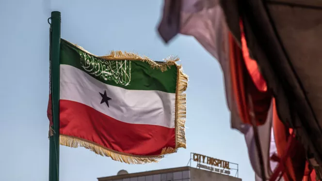 هاني مسهور tweet media