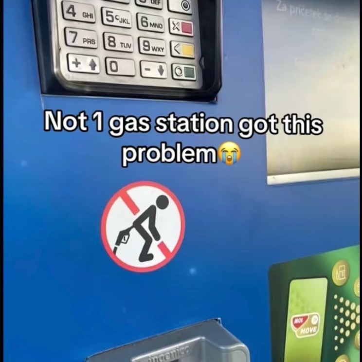 brainrot dimension tweet media