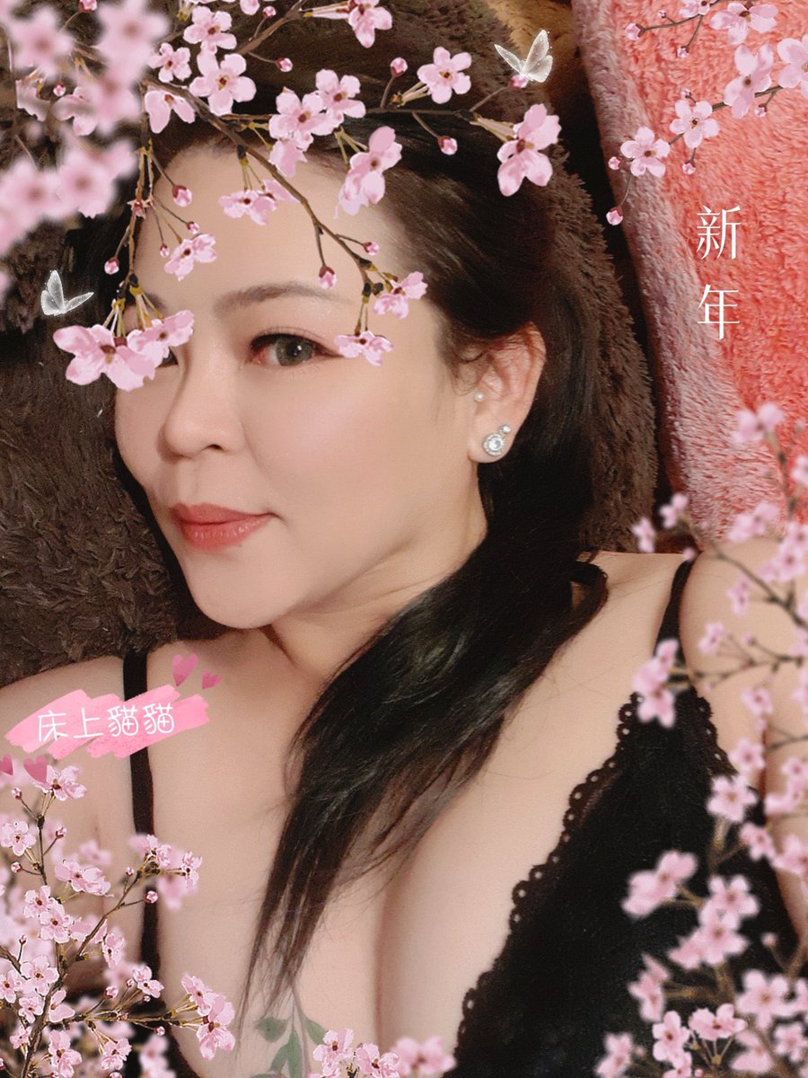 🐈床上の貓貓👑 tweet media