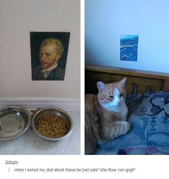 Punch Cat tweet media