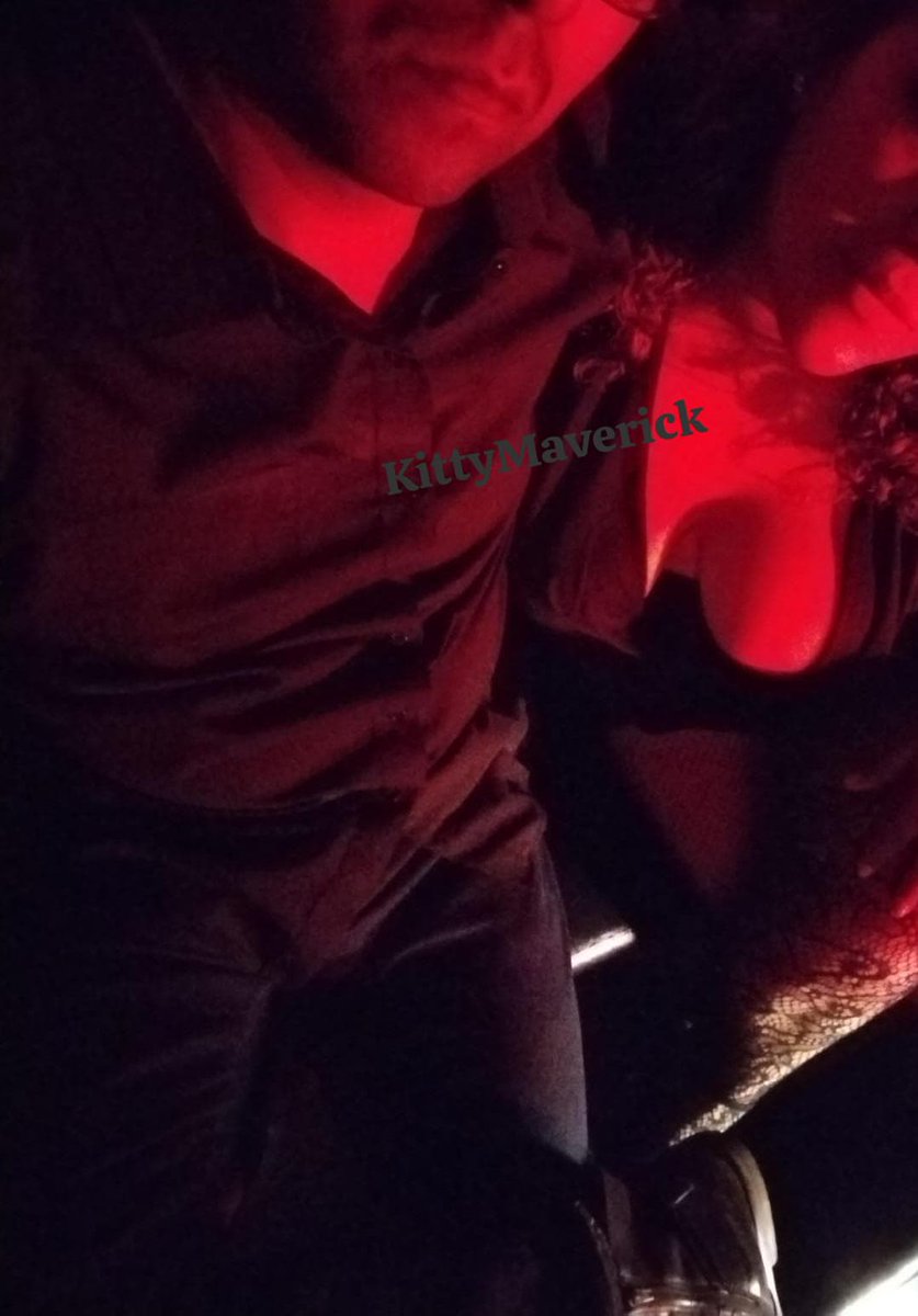 KittyMaverick tweet media