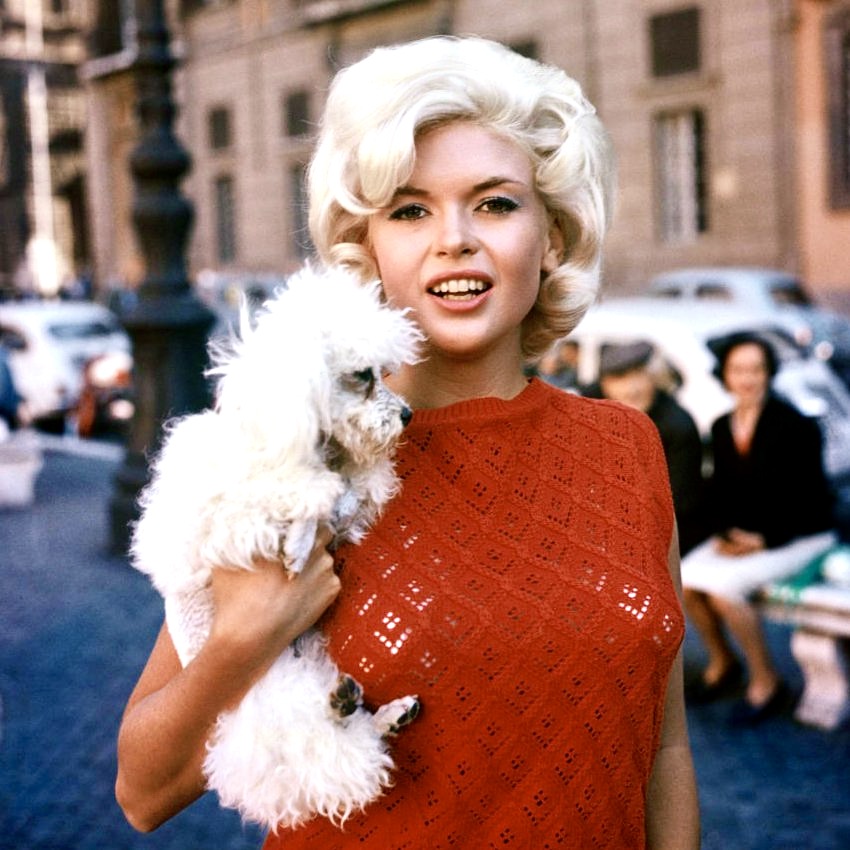 DrBuzz_Forensic's tweet image. Actress #JayneMansfield was #BornOnThisDay April 19, 1933. A film star during the late 1950s &amp;amp; early 1960s, best remembered for the films, The Girl Can't Help It (1956) &amp;amp; Will Success Spoil Rock Hunter? (1957) Passed in 1967 (age 34) from an auto accident. #RIP #GoneTooSoon #BOTD