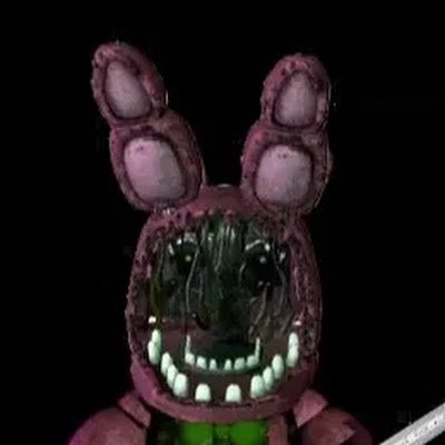 SPRINGBONNIE tweet media
