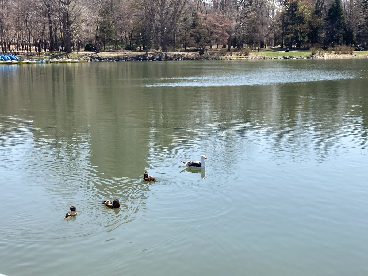 やまとし tweet media