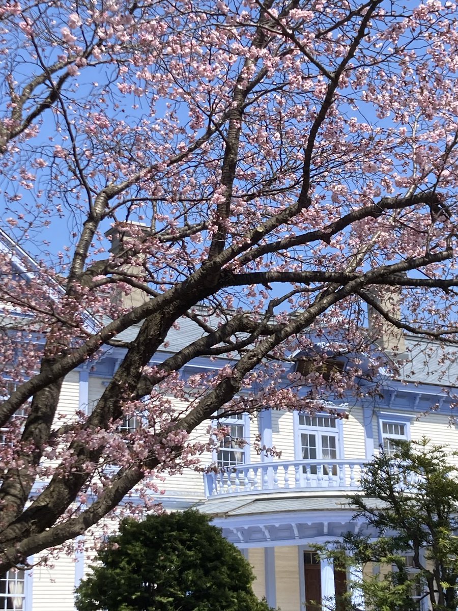 やまとし tweet media