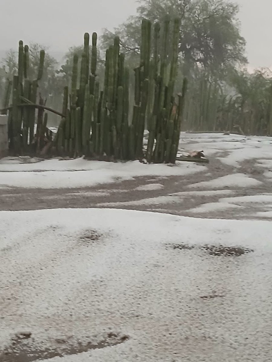 Caída de granizo en Dr. Arroyo