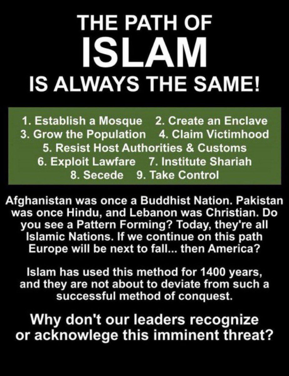 dantheman 🇦🇺 tweet media