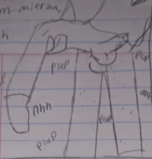 🦐Mr-Red-Shrimp🦐 tweet media