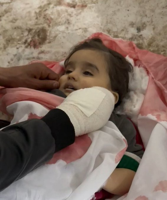 SaveSJarrah's tweet image. #GazaGenocide, 19 Apr 2026
Israeli occupation forces MURDERED 7 Palestinians in Gaza during the past 24 hours.
#NetanyahuWarCriminal #Boycottisrael
#TrumpWarCriminal #BoycottUSA