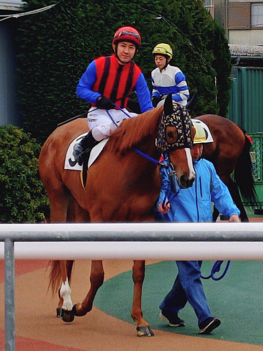 ゆさとみ tweet media