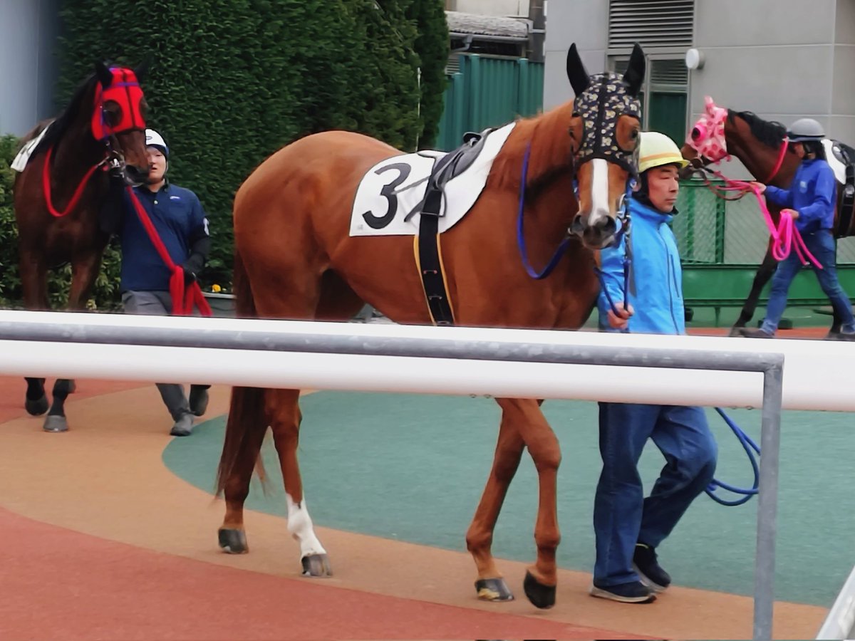 ゆさとみ tweet media