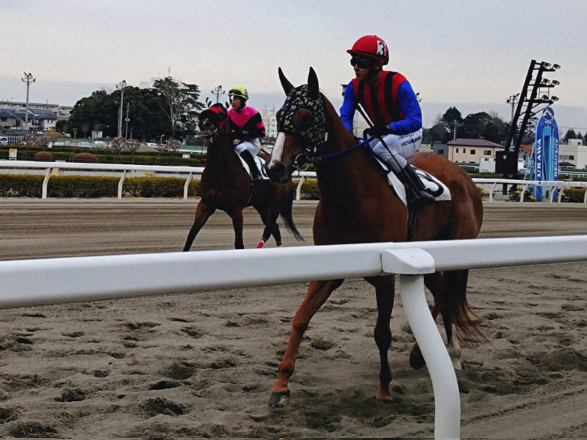 ゆさとみ tweet media