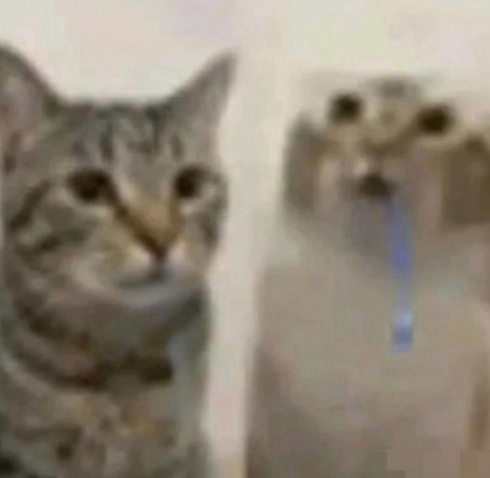 Shintorez 🏳️‍⚧️ (she/they) tweet media