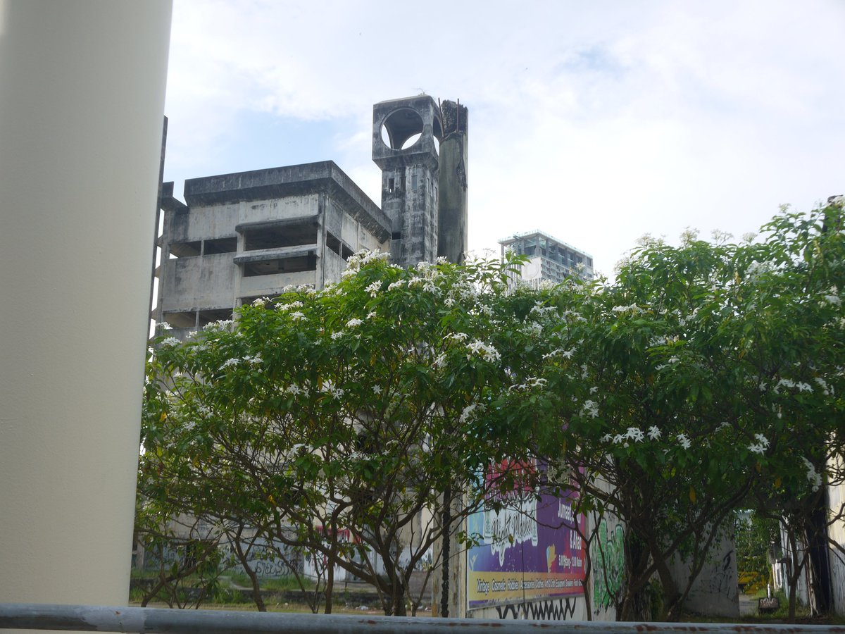 Habu Chan tweet media