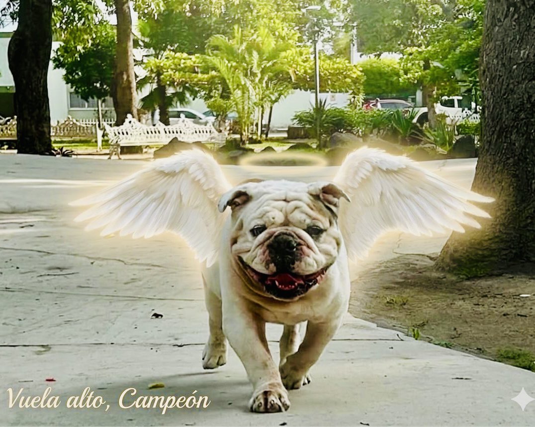 Carlos Sotelo García tweet media