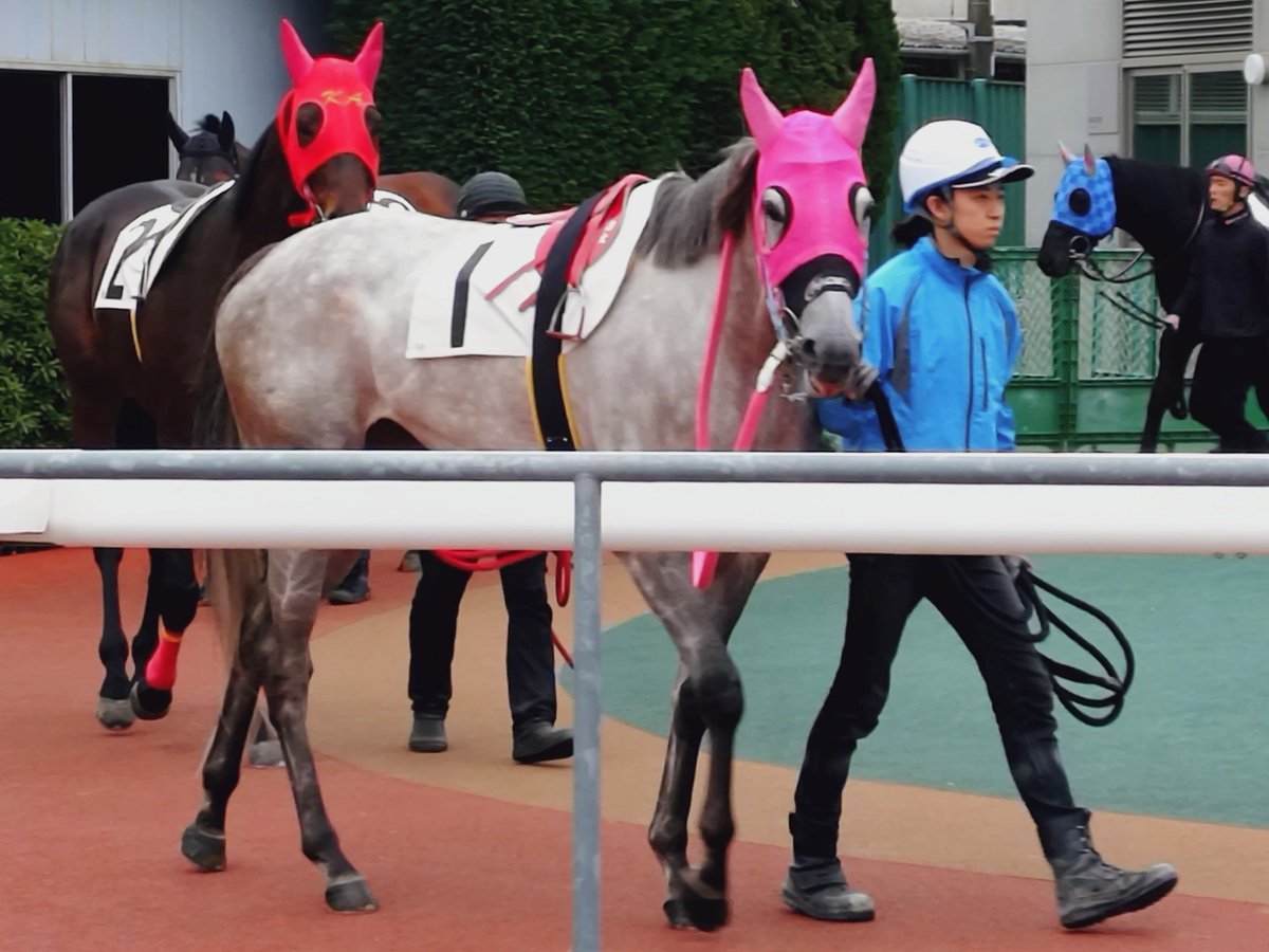 ゆさとみ tweet media