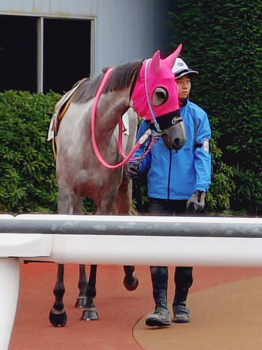 ゆさとみ tweet media