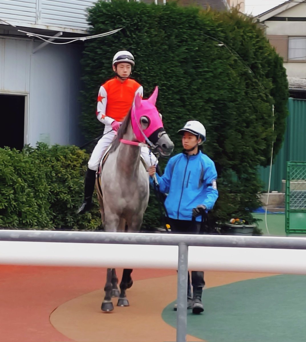 ゆさとみ tweet media