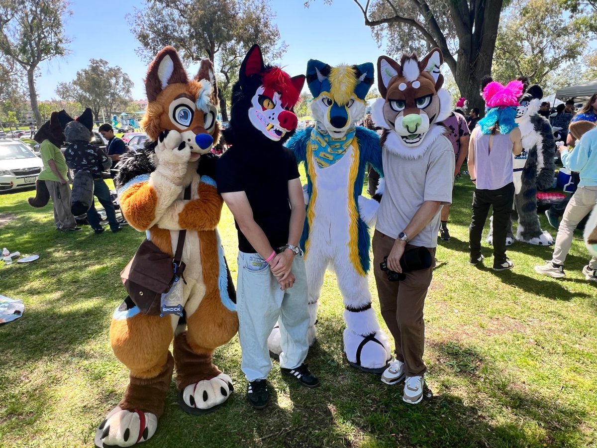 BadBizzTheFurry's tweet photo. Furvine!! https://t.co/X6SnX4EOmo