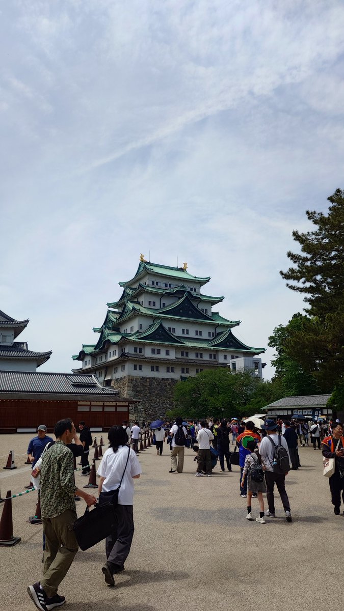 Ｙ(くるみん🐰)さん(自主トレ勢＋DQW) tweet media