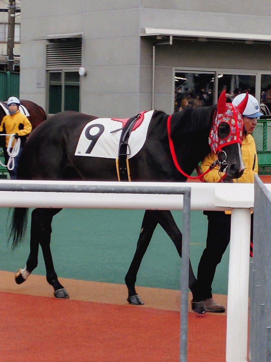 ゆさとみ tweet media