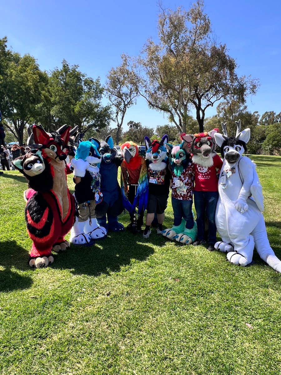 BadBizzTheFurry's tweet photo. Furvine!! https://t.co/X6SnX4EOmo