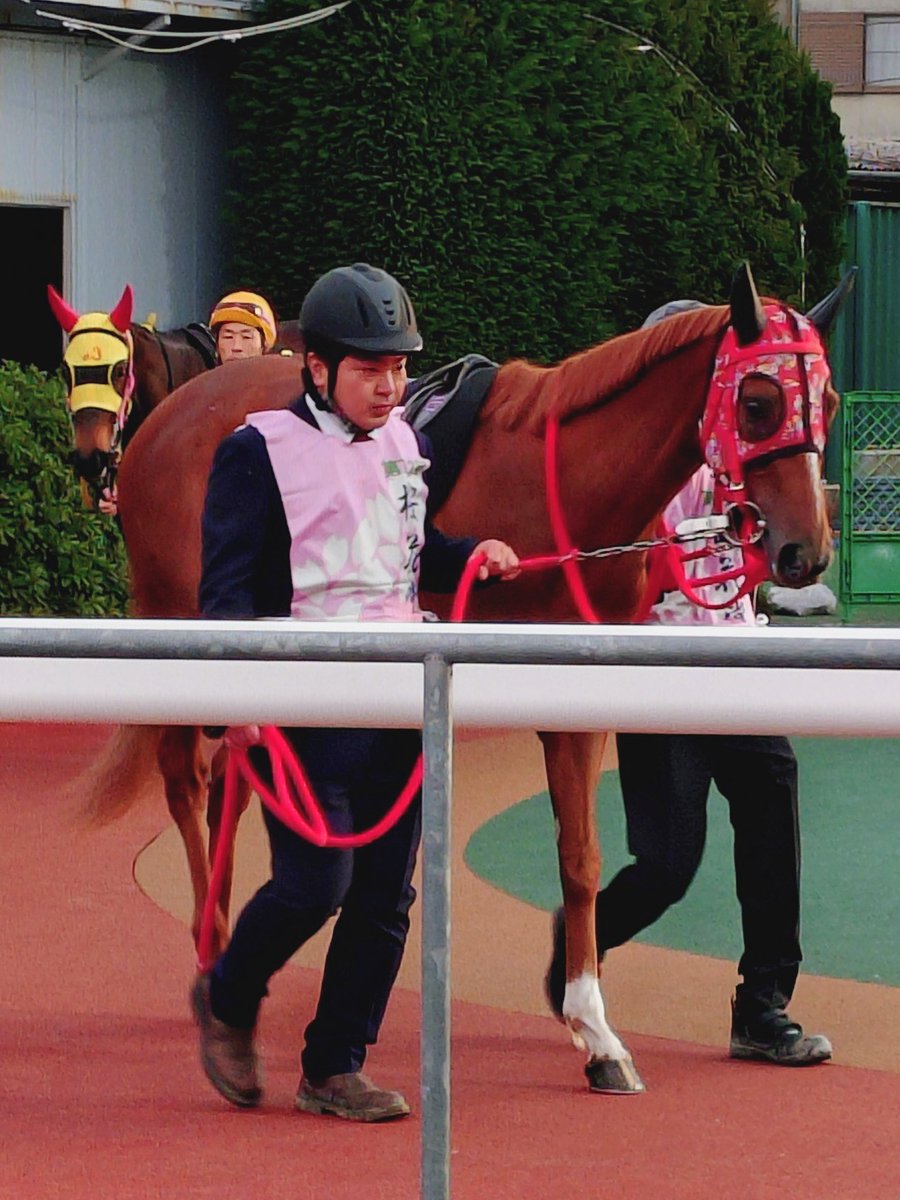 ゆさとみ tweet media