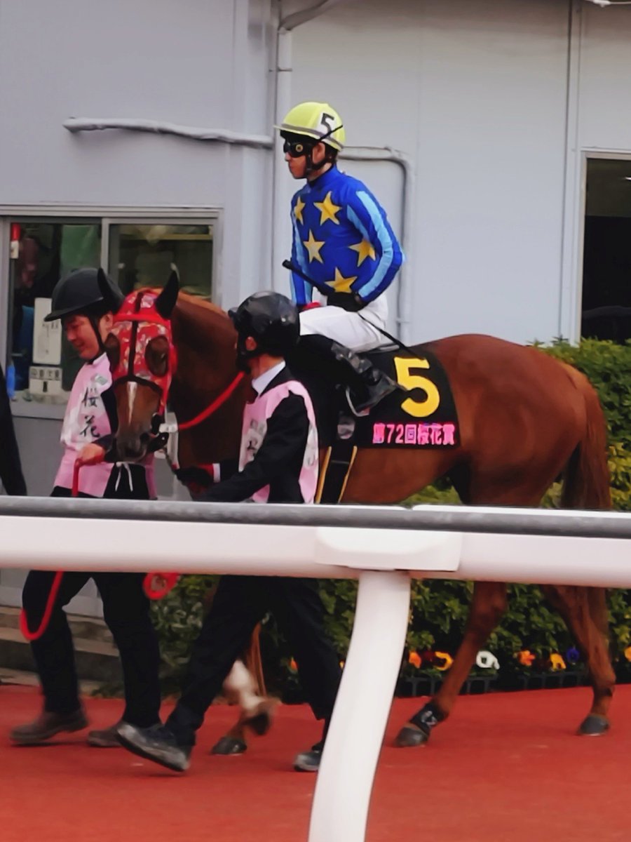 ゆさとみ tweet media