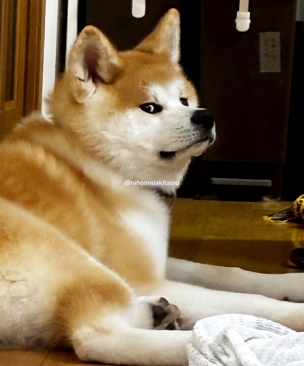 ドラクエふじこ tweet media