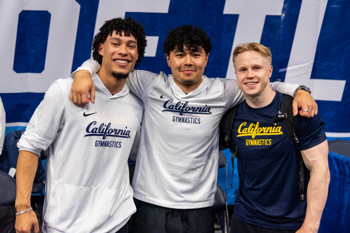Cal Men's Gymnastics tweet media