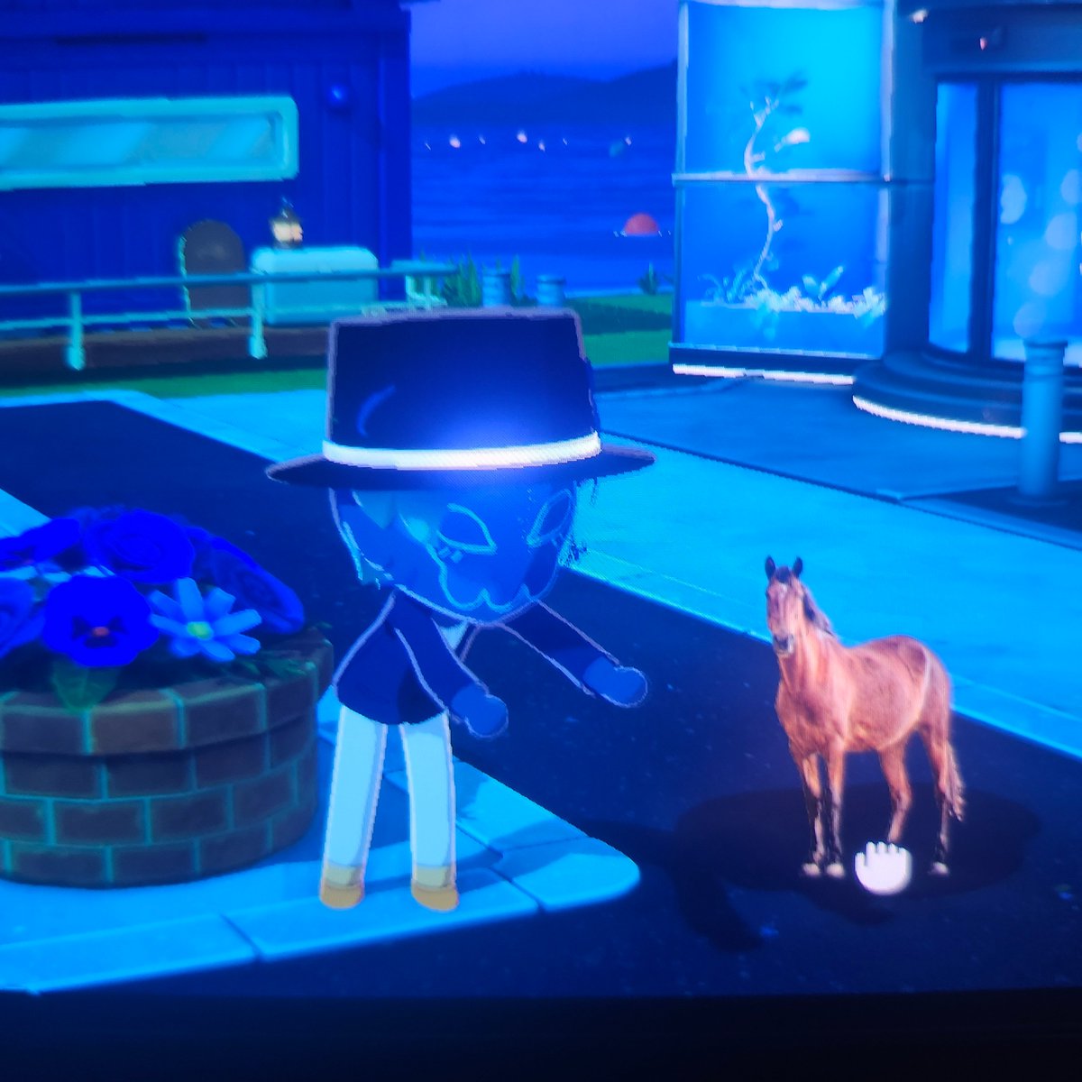 zeroonesdarling's tweet photo. i gave doc a horse https://t.co/WKivLs4d0u