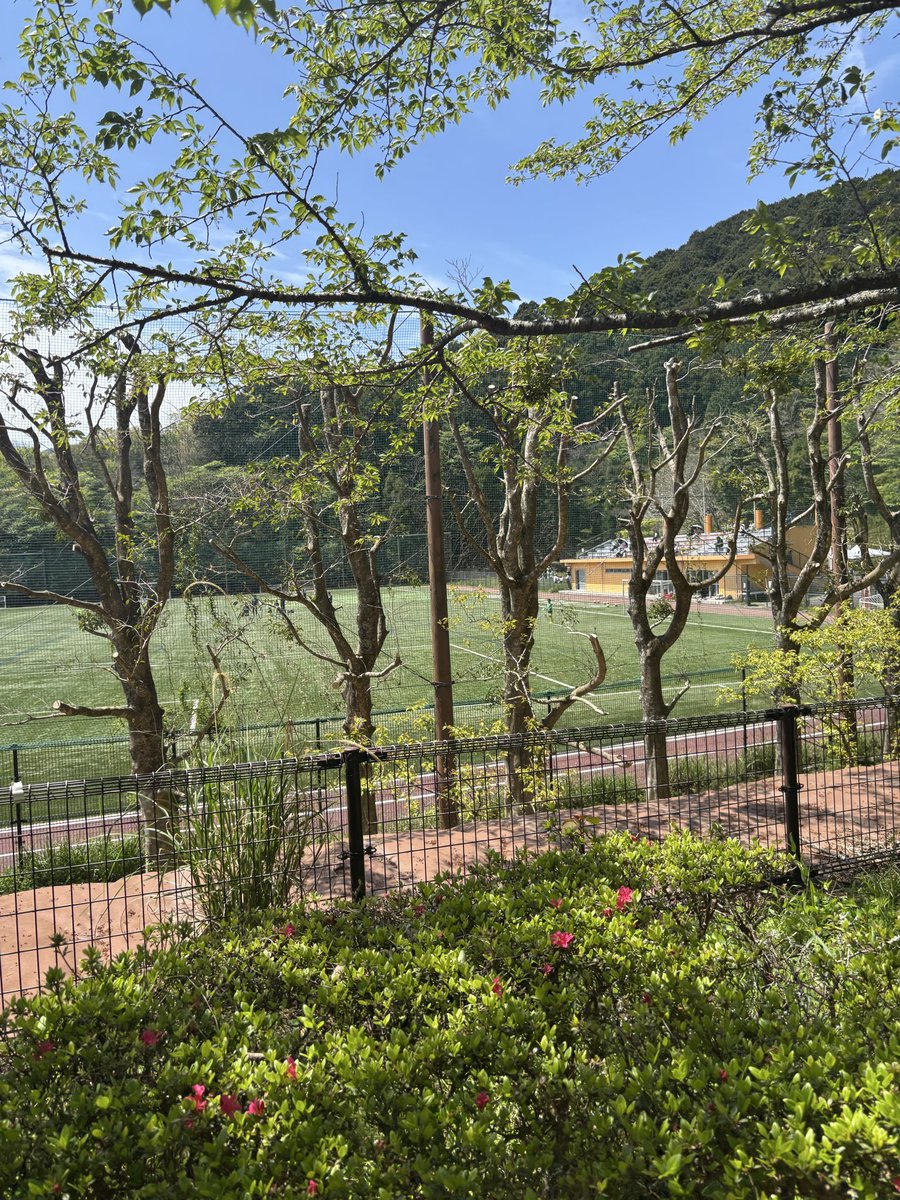 ｼﾛﾎﾟｯﾎﾟ@ｸﾗｲﾏｰ•ｸﾗｲﾏｰ🐦 tweet media